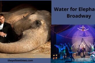 water for elephants broadway