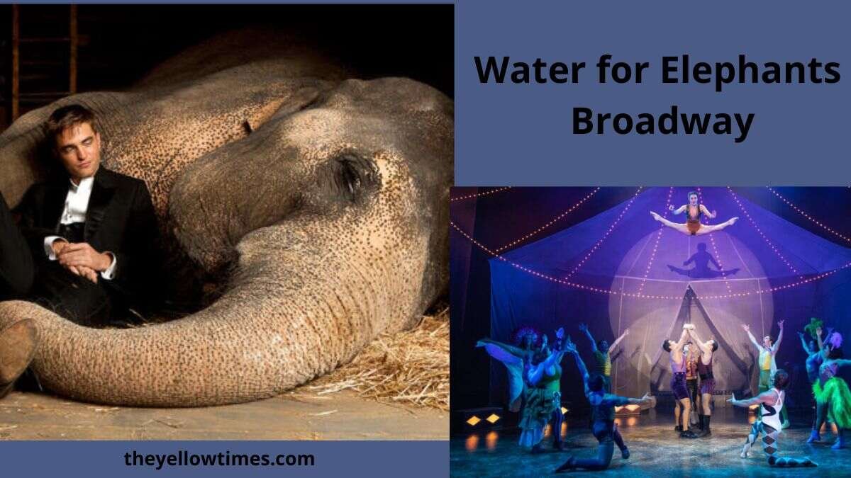water for elephants broadway